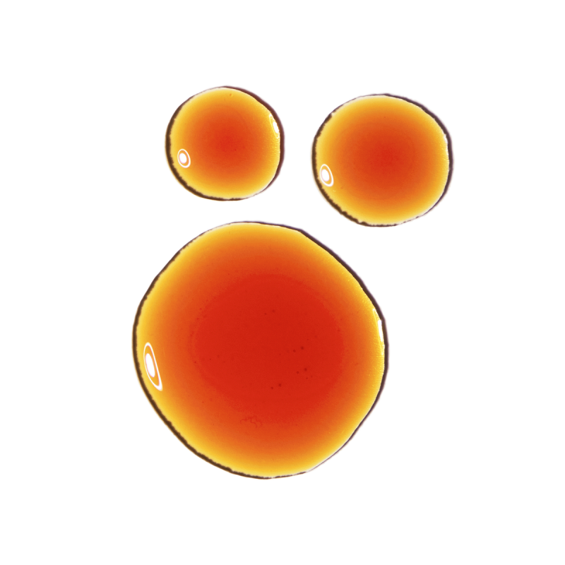 TheOrdinaryPycnogenol5_1.png The Ordinary Pycnogenol 5%